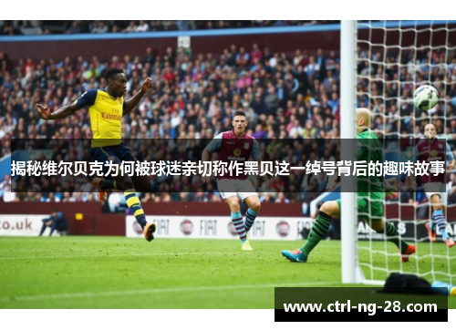 揭秘维尔贝克为何被球迷亲切称作黑贝这一绰号背后的趣味故事 揭秘维尔贝克为何被球迷亲切称作黑贝这一绰号背后的趣味故事