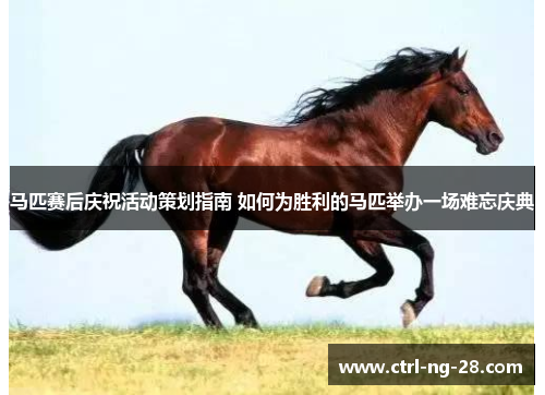 马匹赛后庆祝活动策划指南 如何为胜利的马匹举办一场难忘庆典 马匹赛后庆祝活动策划指南 如何为胜利的马匹举办一场难忘庆典