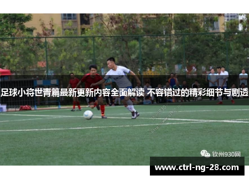 足球小将世青篇最新更新内容全面解读 不容错过的精彩细节与剧透
