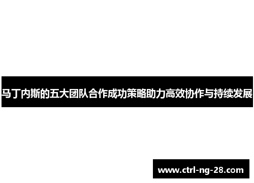 马丁内斯的五大团队合作成功策略助力高效协作与持续发展