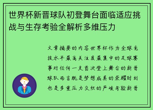 世界杯新晋球队初登舞台面临适应挑战与生存考验全解析多维压力